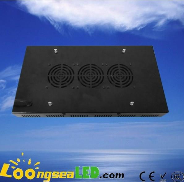 160W LED Grow Light 160W(80*3W)  quad band spectrum for Flowering 2