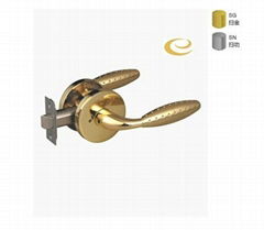 tubular handle door lock