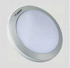 LED Ceiling Lamp 8w~13w