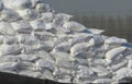 Ammonium Sulphate