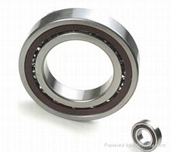 Angular Contact Ball Bearing