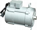 AC motor in glof cart