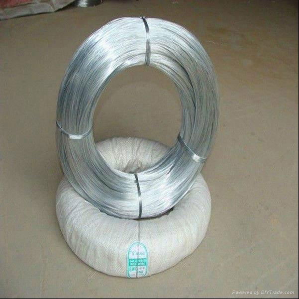 electric galvanzied iron wire 2