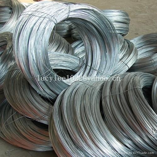 electric galvanzied iron wire 3