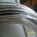 hot dipped galvanized iron wire 1