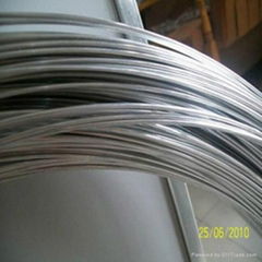 hot dipped galvanized iron wire