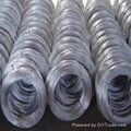 hot dipped galvanized iron wire 2