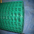 PVC coated welded wire mesh rolls 1