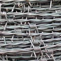 hot dipped galvanized barbed wire 2