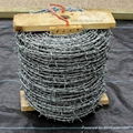 hot dipped galvanized barbed wire 3