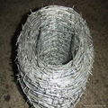 hot dipped galvanized barbed wire 4