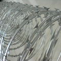 stainless steel razor barbed wire/concertina wire