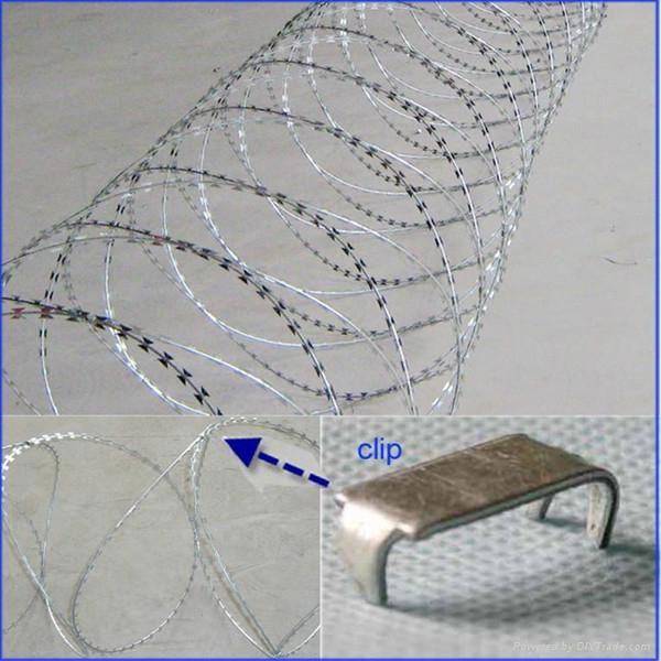 stainless steel razor barbed wire/concertina wire 2