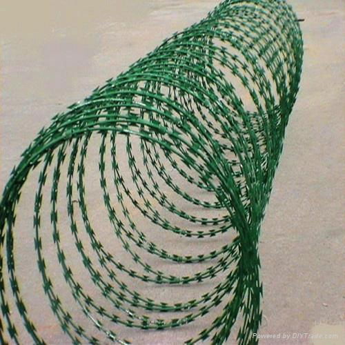 stainless steel razor barbed wire/concertina wire 3