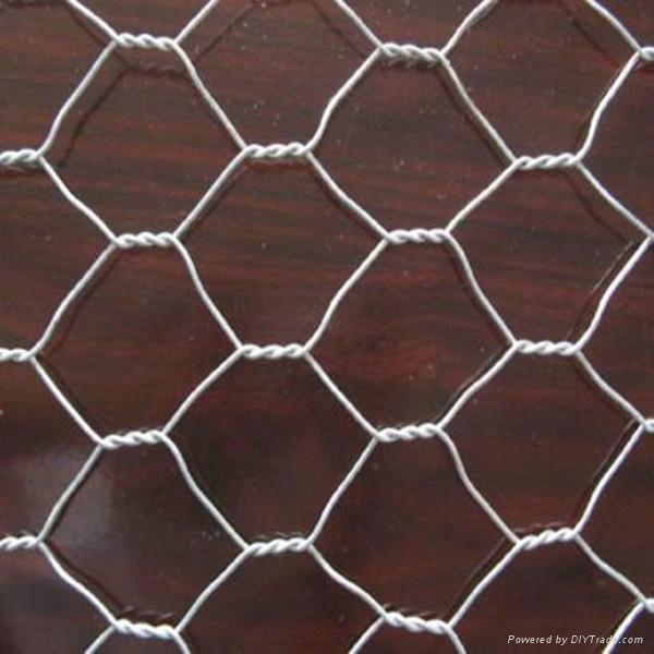 hexagonal wire mesh