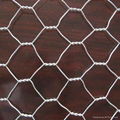 hexagonal wire mesh 1