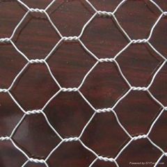 hexagonal wire mesh