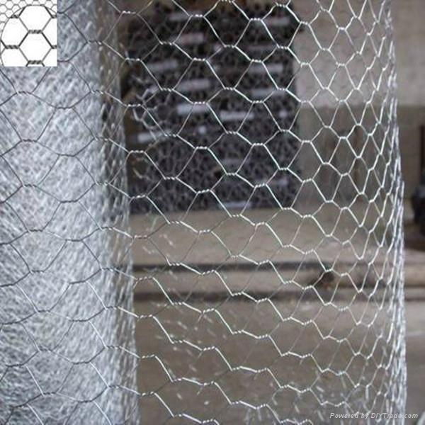 hexagonal wire mesh 2