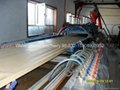 WPC celuka board production line 2