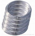 S/S Wire Rope