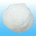 Hydroxypropyl Methyl Cellulose (HPMC)