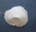 Potassium Acetate