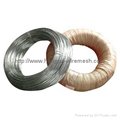 Stainless Steel Nail /Screw/ Staple Wire 2
