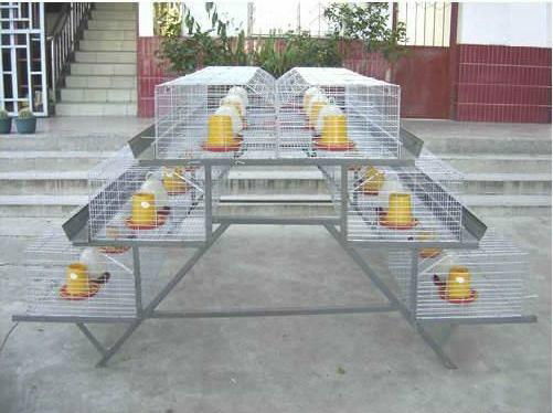 Chicken Cage for Sale 2