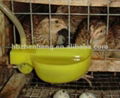 Quail Cage Supplier