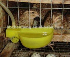 Quail Cage Supplier