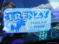 Car  Window Stickers 4