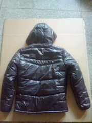 padding jacket