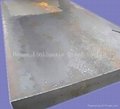Low-alloy High-strength Steel Plates - Sa572Mgr50(hot rolled) 4