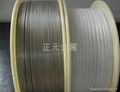 titanium wire 1