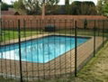 Swimming Pool Fence 1