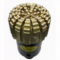 Diamond PDC Drilling Bit 1