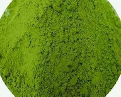 Neem Powder