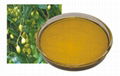 Neem Oil