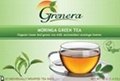 Moringa Green Tea 1