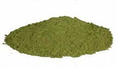 Moringa Powder