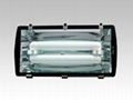 Induction tunnel light fixture