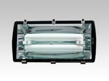 Induction tunnel light fixture