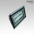 400W Induction Tunnel Light  1