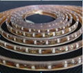 Sell LED Strip Light 1