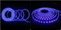 Sell LED Strip Light 2