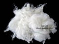 Regenerated Polyester Staple Fiber 2