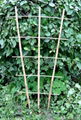 Bamboo ladder 3