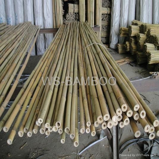 Bamboo pole 2