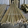 Bamboo pole 2