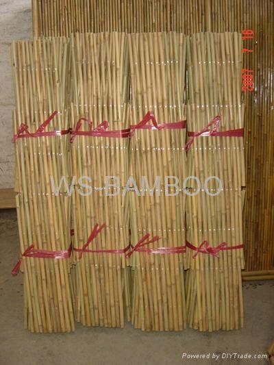 Bamboo fence 3